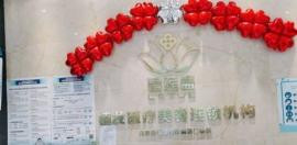 碧莲盛植发是不是国内特好的,其正规可信度看发友如何评价!