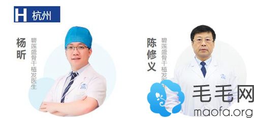 杭州碧莲盛医生团队
