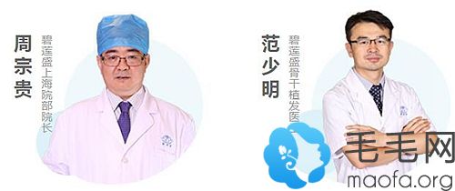 医生团队
