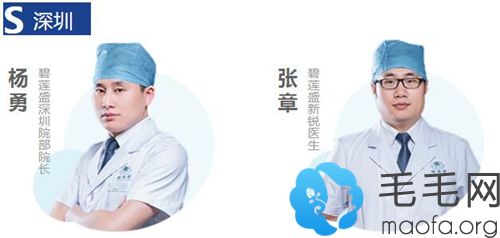 深圳碧莲盛医生团队