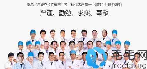 碧莲盛植发医生团队