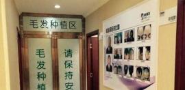 植发技术如何?AHT+PTT微针加密技术优势及案例效果