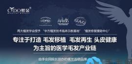 正规医院李会民拍了拍你:发际线调整的价格在这