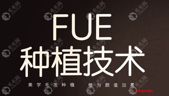 王重庆医生擅长FUE无痕种植技术