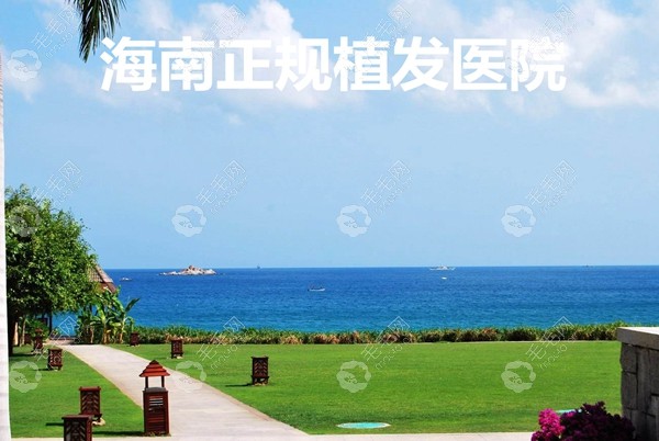 海南省正规的植发医院在哪里?来海南植发医院排名中找答案!