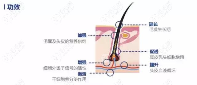 AAPE头皮毛发细胞再生疗法功效