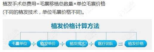 植一根头发大概多少钱?这份2020年的种植头发价格表让你秒懂