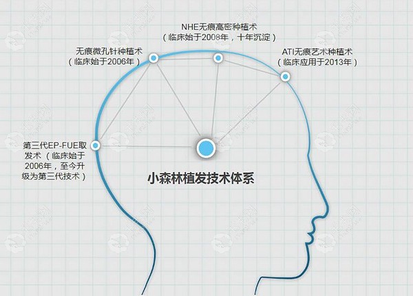 小森林植发技术体系