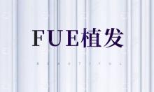 据了解,汕头华美FUE头顶头发种植一株的价格是12元起!