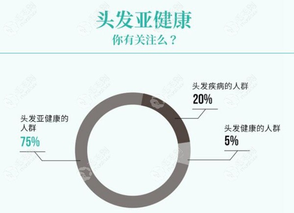 水太深?脱发有必要做毛囊检测吗,在什么医院可以检查?