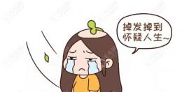 哈尔滨哪能植发?口碑炸裂的正规植发医院排名和收费来一份