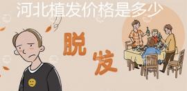 河北植发费用及效果(内含2025石家庄植发价格)