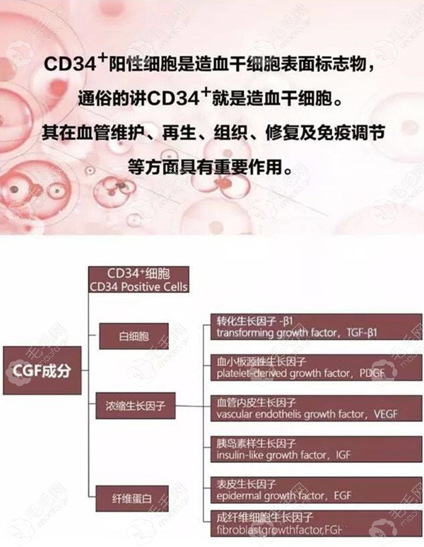 cgf治疗脱发生发原理