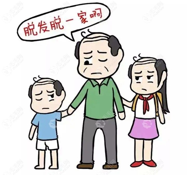 养血生发胶囊不治疗遗传脱发