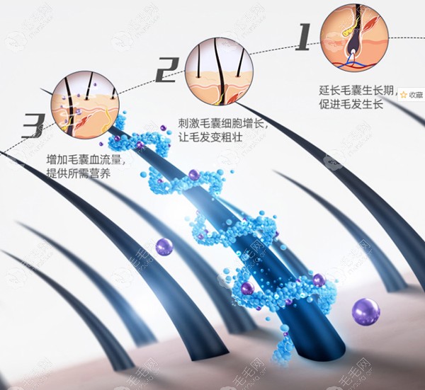 米诺地尔酊生发原理