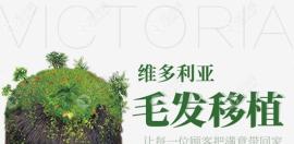 三亞有哪家醫(yī)院做的是微針植發(fā),植發(fā)的價(jià)格又是多少?