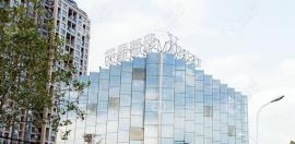 合肥艺星医院用fue技术种植发际线一株的价格是多少钱?