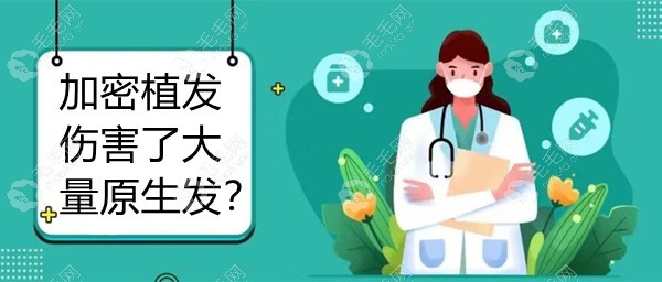 头顶加密植发会伤害大量原生发是真的吗?头顶植发效果好吗