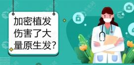 头顶加密植发会伤害大量原生发是真的吗?头顶植发效果好吗