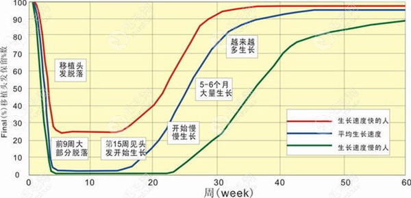 植发后3个月(脱落期)和6个月(生长期)的案例效果差别太大了!