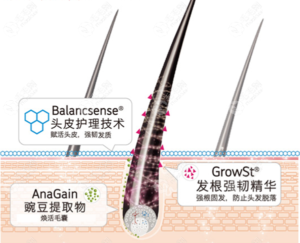 洗发水提取物是豌豆提取物