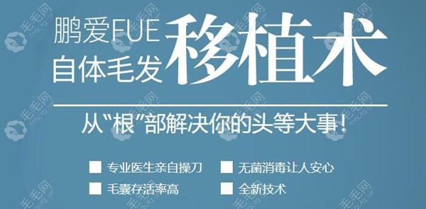 深圳鹏爱植发科解决你的“头”等大事