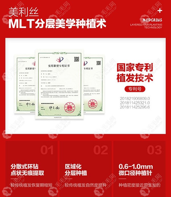 美利丝MLT分层美学种植技术