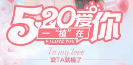 520中心给你寄来一份植发优惠:600单位5200元起
