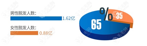 国内脱发人群占比数据