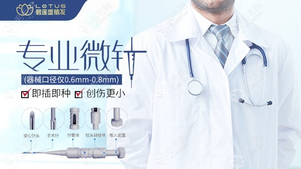 碧莲盛<span style=