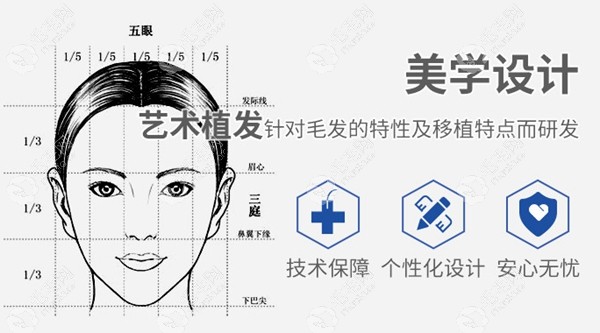 大麦美学艺术植发