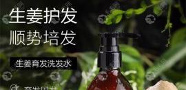 抖音卖的bodyaid博滴琴叶生姜洗发水真的能生发吗?效果靠谱吗