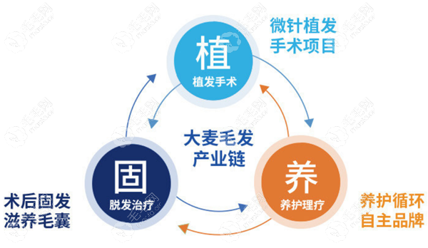 大麦微针植发开设植养固体系