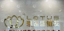 北京碧莲盛植发在哪?除地址外我还想知道它的植发口碑好不