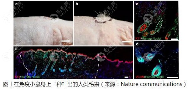 src=http_%2F%2Fimage.hongyantu.com%2Fhongyantu%2F2019%2F07%2F12%2F061624415115629001515648462.png&refer=http_%2F%2Fimage.hongyantu.jpg