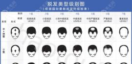 這里有男/女脫發(fā)1-7級(jí)的級(jí)別示意圖與需要植發(fā)的單位數(shù)量