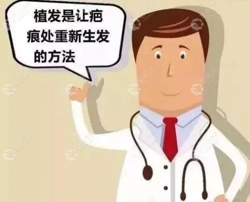 北京碧莲盛蒋学医生说疤痕植发