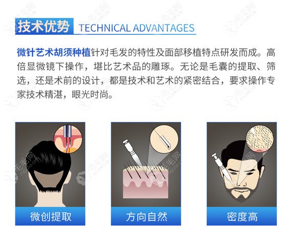 碧莲盛BHT微针种植胡须加密