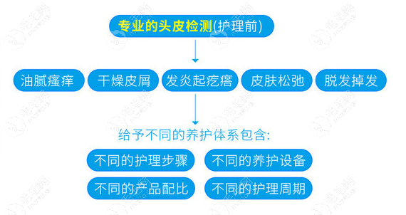 成都首瑞头皮养护优势