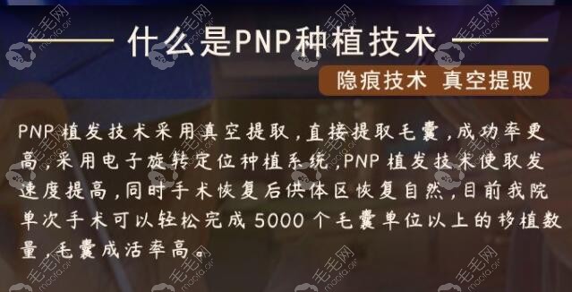 沈阳华美pnp植发技术