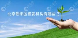 北京朝阳区植发机构有哪些?和熙朵植发是其中的佼佼者