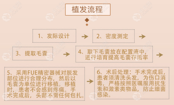 中信惠州植发手术流程