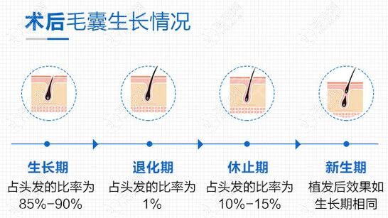 鬓角种植头发后毛囊生长情况