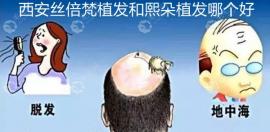 西安沐森和熙朵哪个好,说下哪家植发技术比较好哪个正规