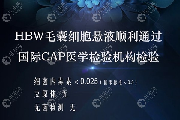 hbw毛囊克隆植发