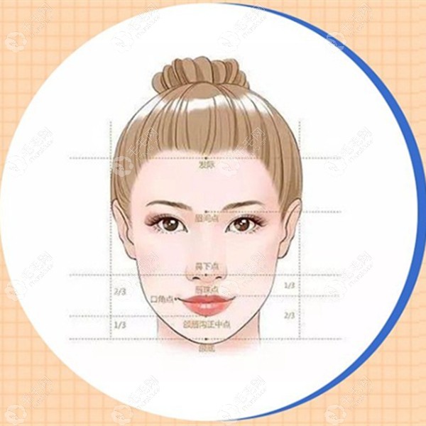 美学上的黄金比例，眉毛到前额发际线应为整个脸部的三分之一