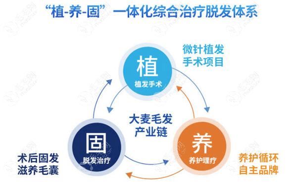 广州大麦植养护一体化体系