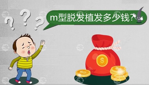 泉州碧莲盛m型脱发植发费用是一般多少?