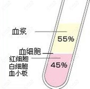 头皮打血清生发操作流程