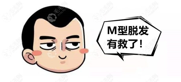 m型二级脱发需要的费用,不止与种多少个毛囊单位有关